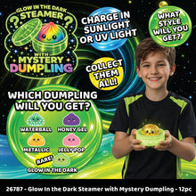 Load image into Gallery viewer, Glow-in-the-Dark Mystery Dumpling Squishy Toy