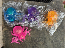 Load image into Gallery viewer, Spider Sugar Squish