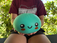 Load image into Gallery viewer, Mystery Dumpling (6in)