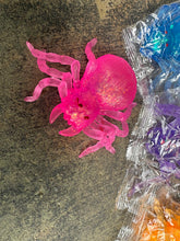 Load image into Gallery viewer, Spider Sugar Squish